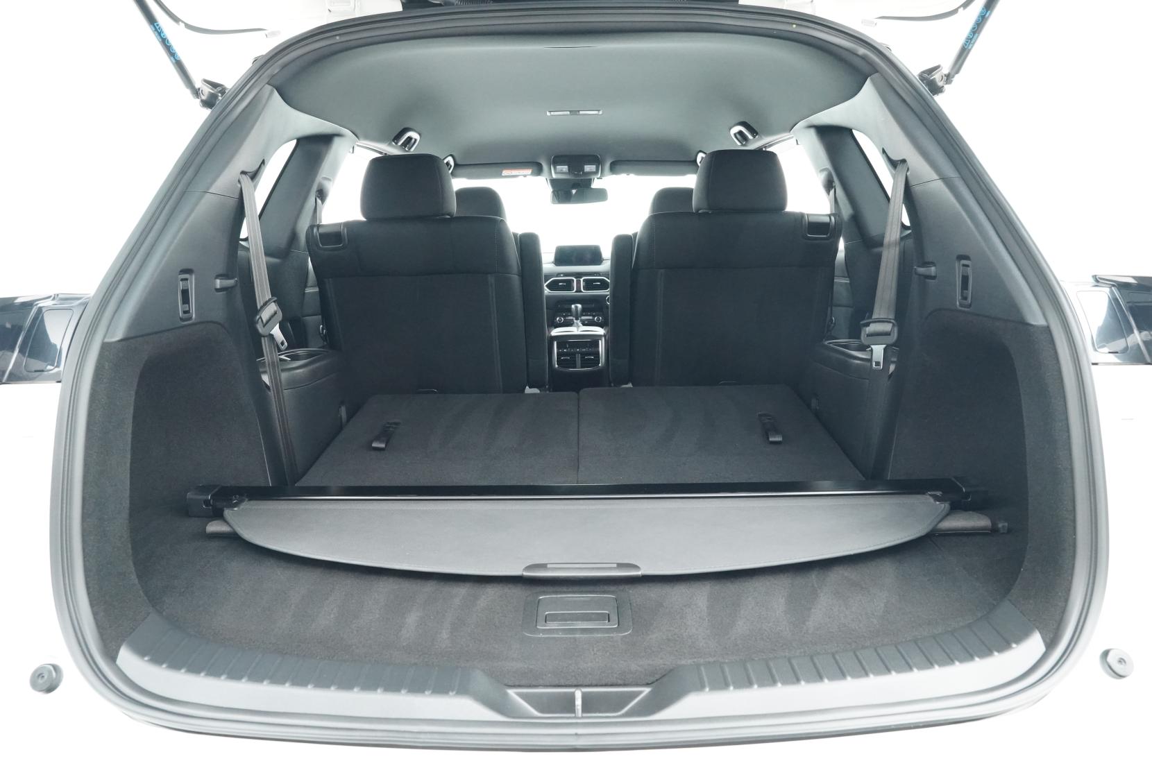 Mazda CX-8 2.5 2.5L PETROL 25S PRO ACTIVE