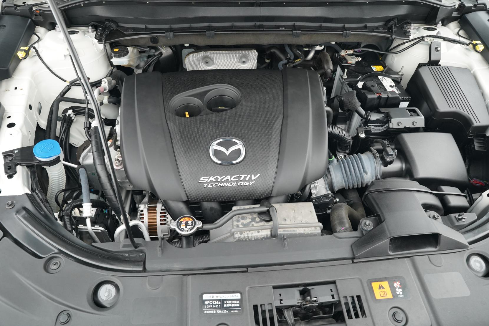 Mazda CX-8 2.5 2.5L PETROL 25S PRO ACTIVE