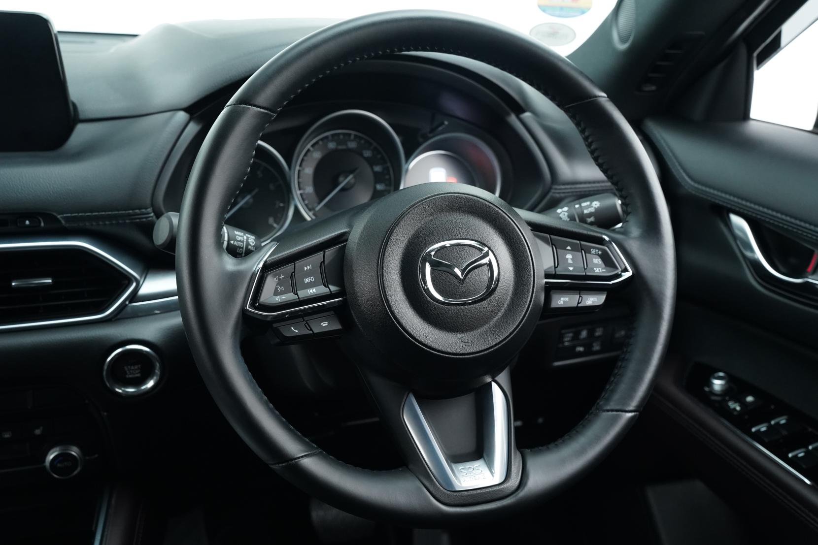 Mazda CX-8 2.5L PETROL 25S